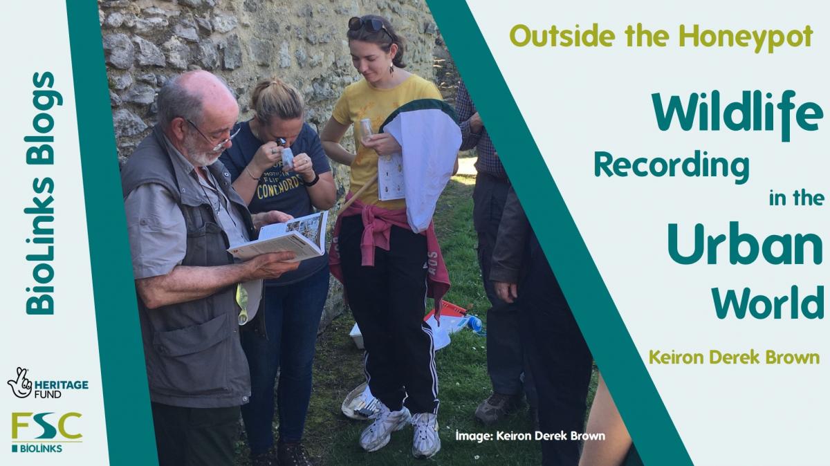 Wildlife Recording in the Urban World Biodiversity Projects